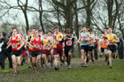 Senior boys 2019 New Balance English Schools Cross Country Champs, Temple Newsam, Leeds. Photo:  David T. Hewitson/Sports for All Pics
